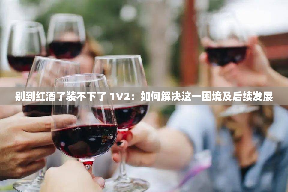 别到红酒了装不下了 1V2：如何解决这一困境及后续发展