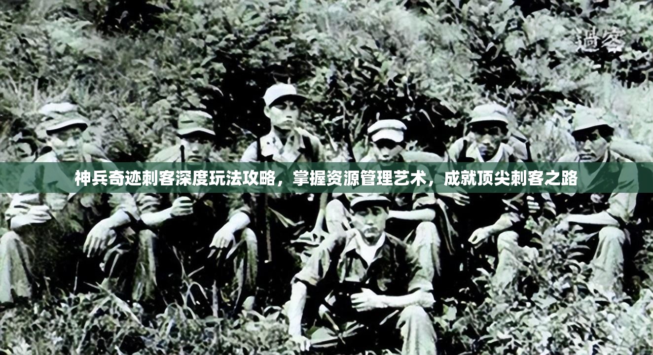 神兵奇迹刺客深度玩法攻略，掌握资源管理艺术，成就顶尖刺客之路
