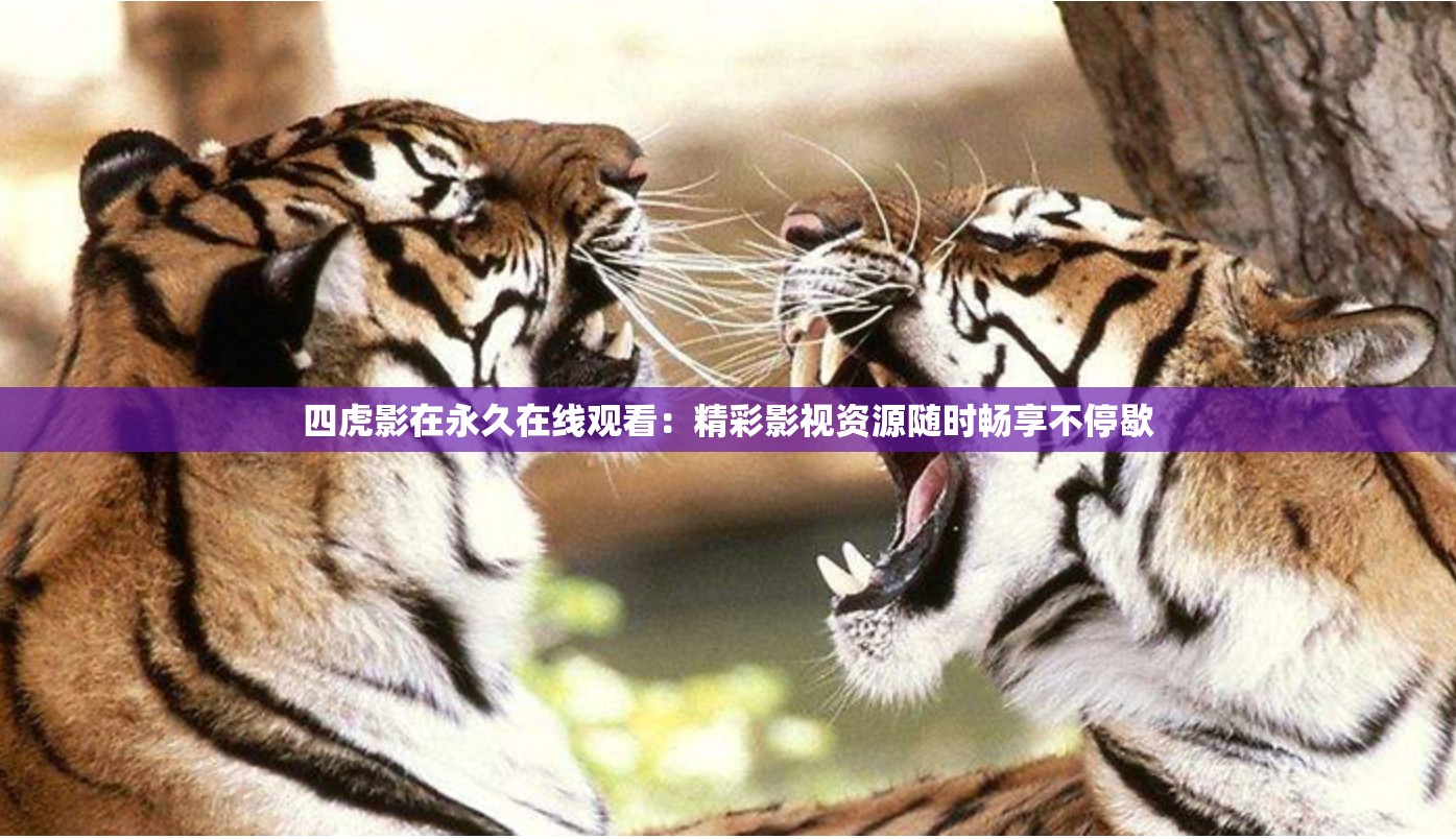 四虎影在永久在线观看：精彩影视资源随时畅享不停歇