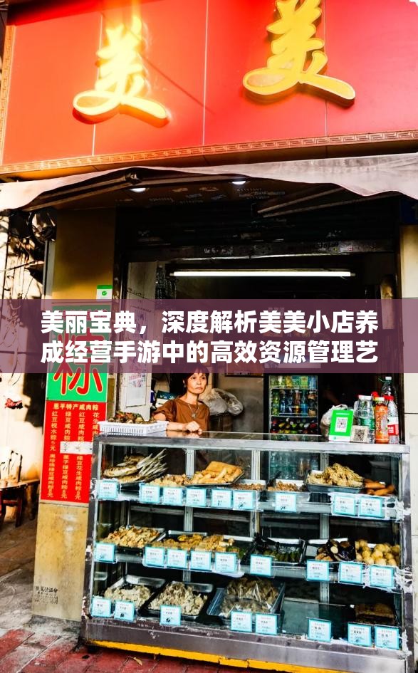 美丽宝典，深度解析美美小店养成经营手游中的高效资源管理艺术