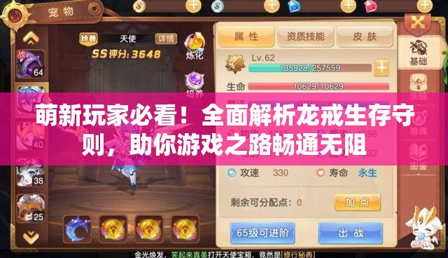 萌新玩家必看！全面解析龙戒生存守则，助你游戏之路畅通无阻