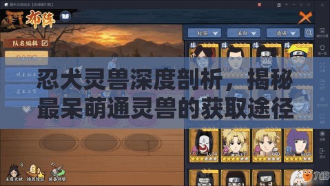 忍犬灵兽深度剖析，揭秘最呆萌通灵兽的获取途径与管理技巧