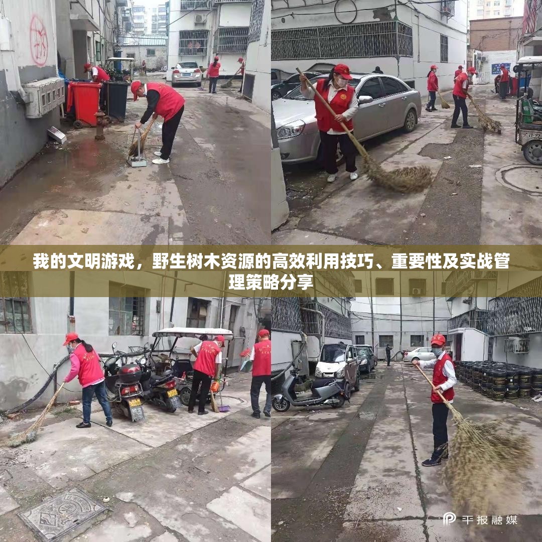 我的文明游戏，野生树木资源的高效利用技巧、重要性及实战管理策略分享