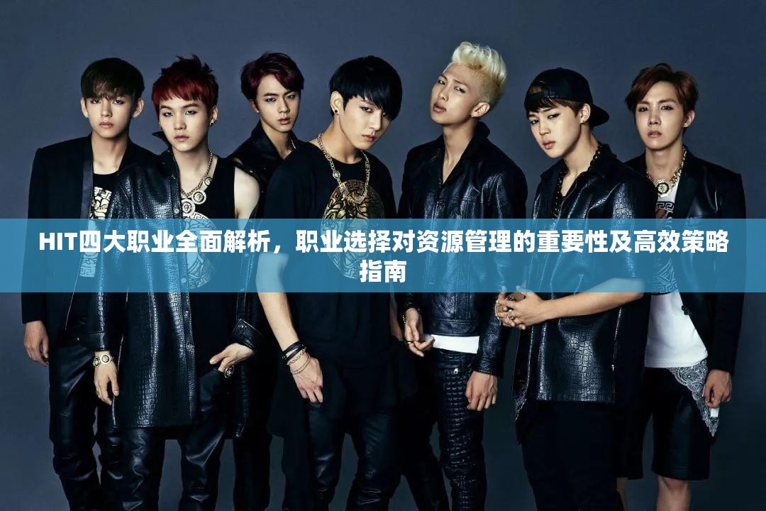 HIT四大职业全面解析，职业选择对资源管理的重要性及高效策略指南