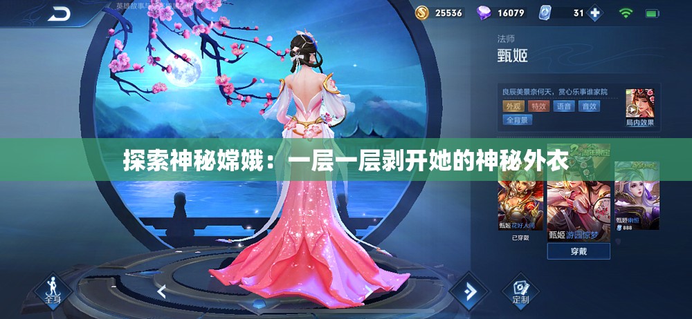 探索神秘嫦娥：一层一层剥开她的神秘外衣