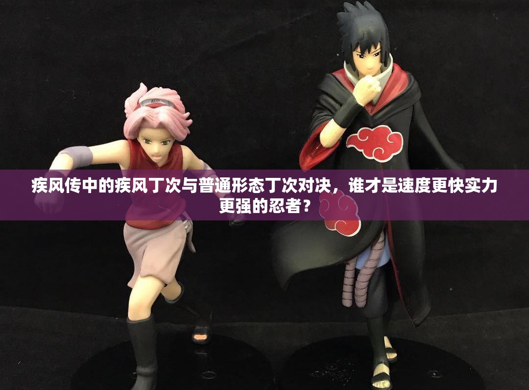 疾风传中的疾风丁次与普通形态丁次对决，谁才是速度更快实力更强的忍者？