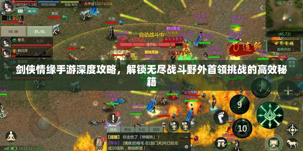 剑侠情缘手游深度攻略，解锁无尽战斗野外首领挑战的高效秘籍