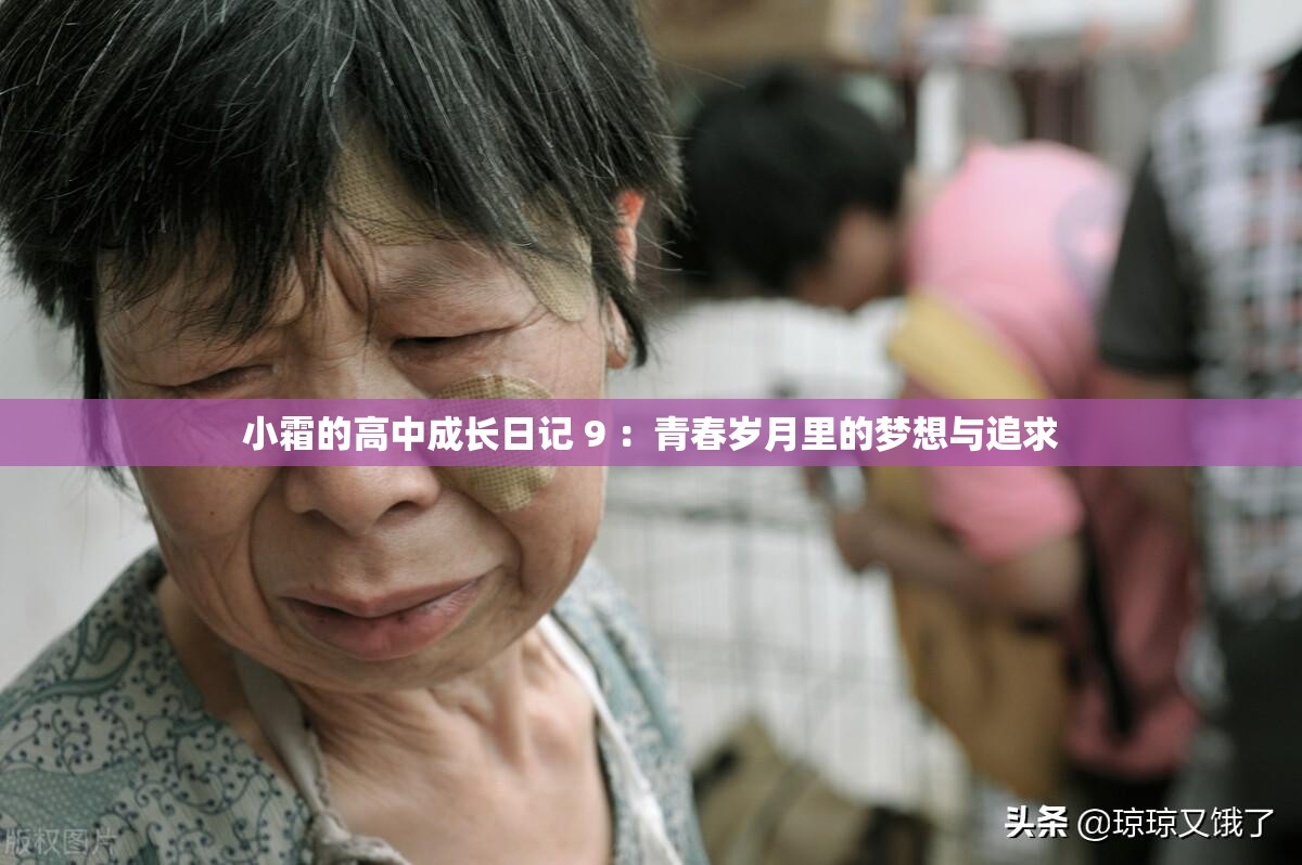 小霜的高中成长日记 9 ：青春岁月里的梦想与追求