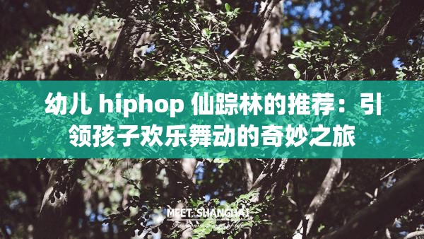 幼儿 hiphop 仙踪林的推荐：引领孩子欢乐舞动的奇妙之旅