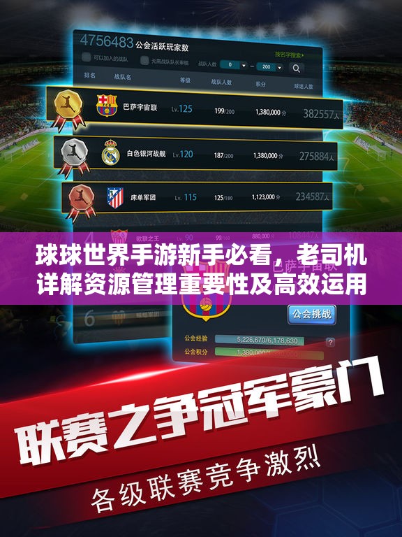 球球世界手游新手必看，老司机详解资源管理重要性及高效运用攻略