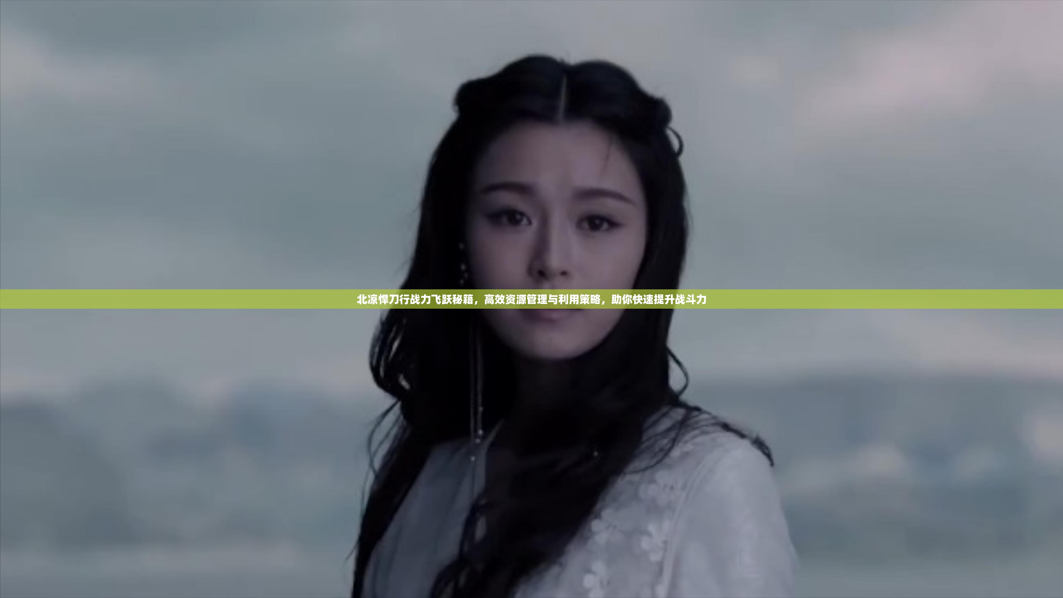 北凉悍刀行战力飞跃秘籍，高效资源管理与利用策略，助你快速提升战斗力