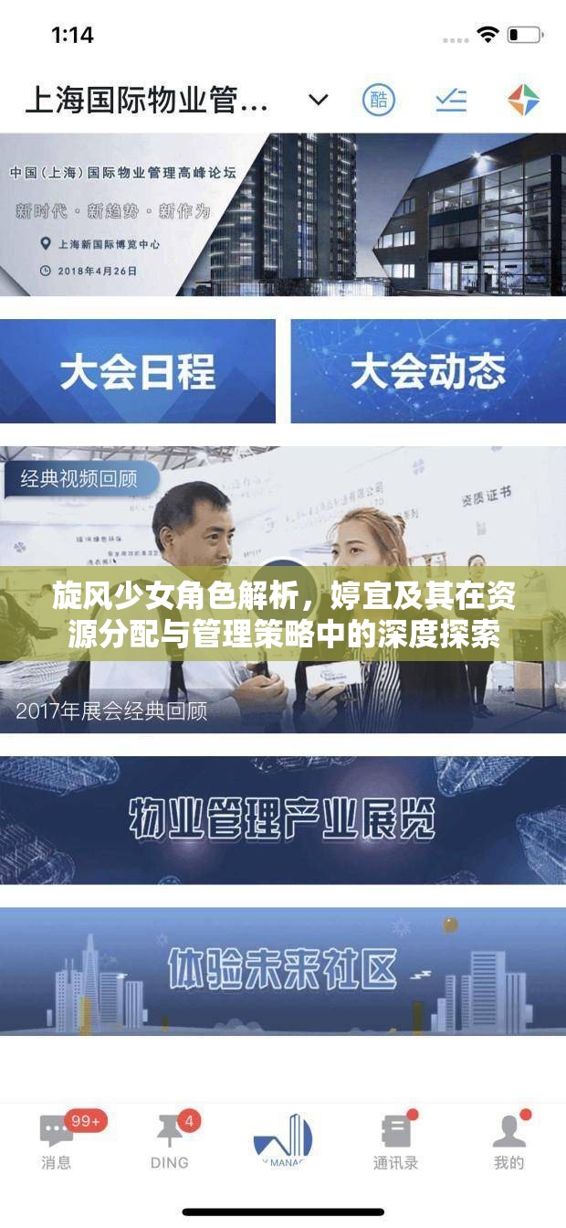旋风少女角色解析，婷宜及其在资源分配与管理策略中的深度探索