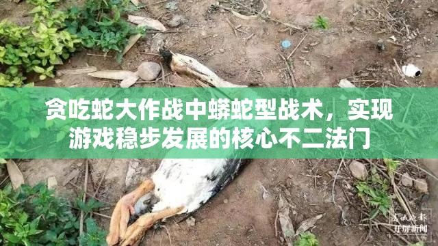 贪吃蛇大作战中蟒蛇型战术，实现游戏稳步发展的核心不二法门