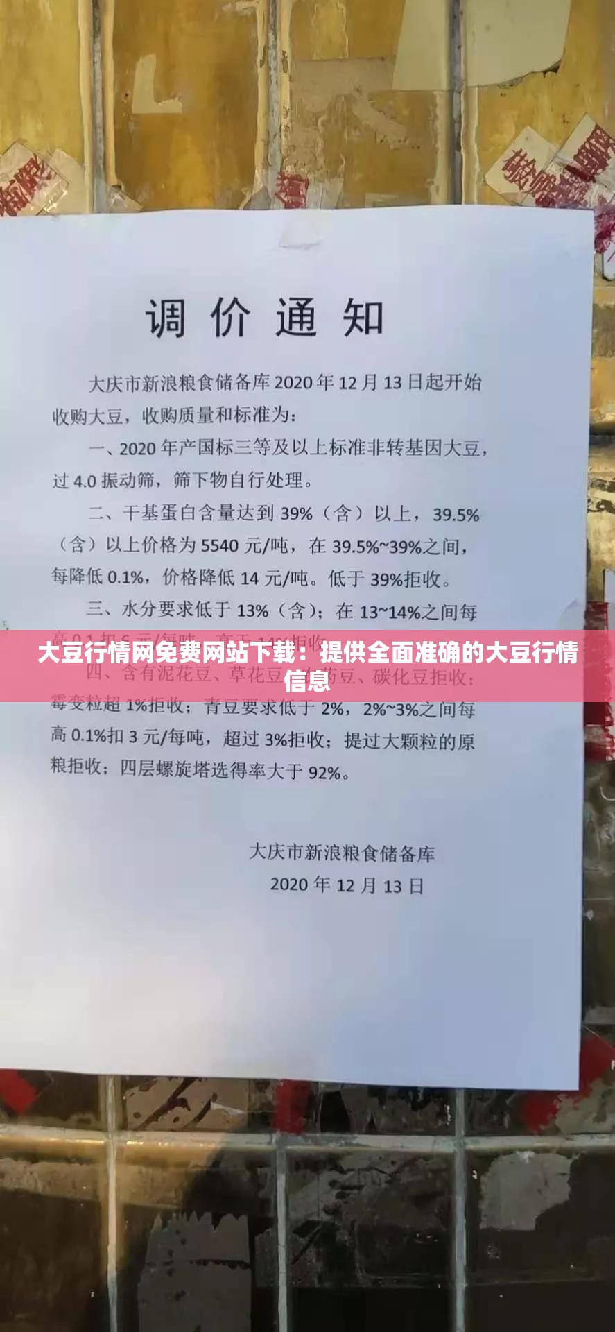 大豆行情网免费网站下载：提供全面准确的大豆行情信息