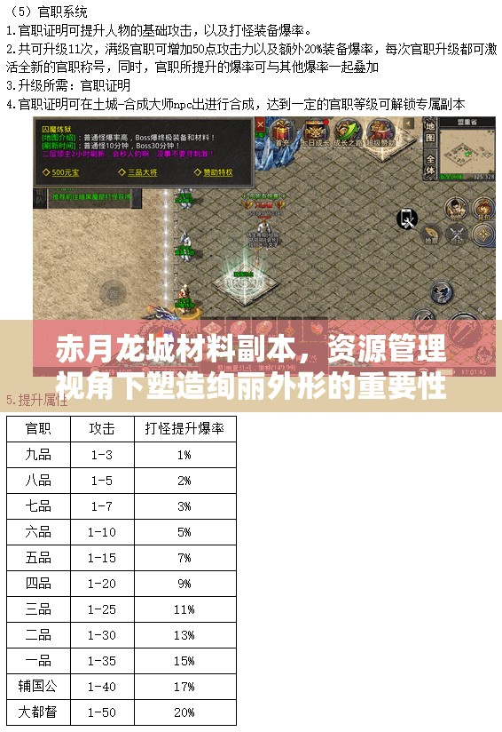 赤月龙城材料副本，资源管理视角下塑造绚丽外形的重要性及策略解析
