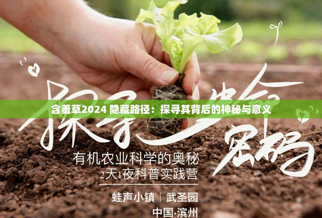 含羞草2024 隐藏路径：探寻其背后的神秘与意义