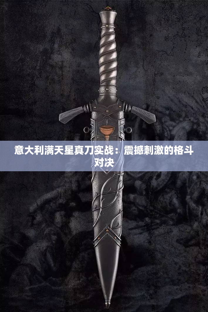 意大利满天星真刀实战：震撼刺激的格斗对决