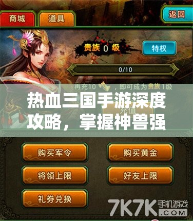 热血三国手游深度攻略，掌握神兽强化与资源管理艺术，高效升级神兽