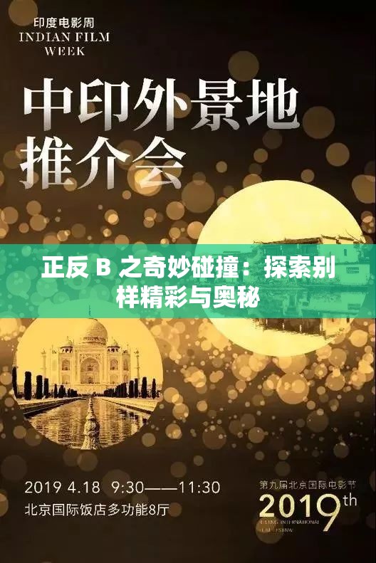 正反 B 之奇妙碰撞：探索别样精彩与奥秘