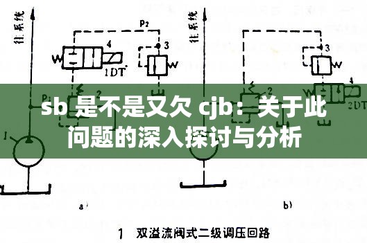 sb 是不是又欠 cjb：关于此问题的深入探讨与分析