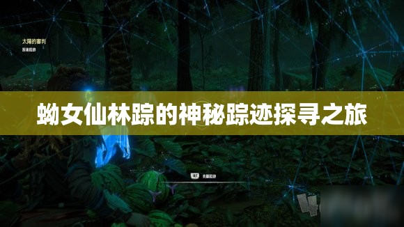 蚴女仙林踪的神秘踪迹探寻之旅