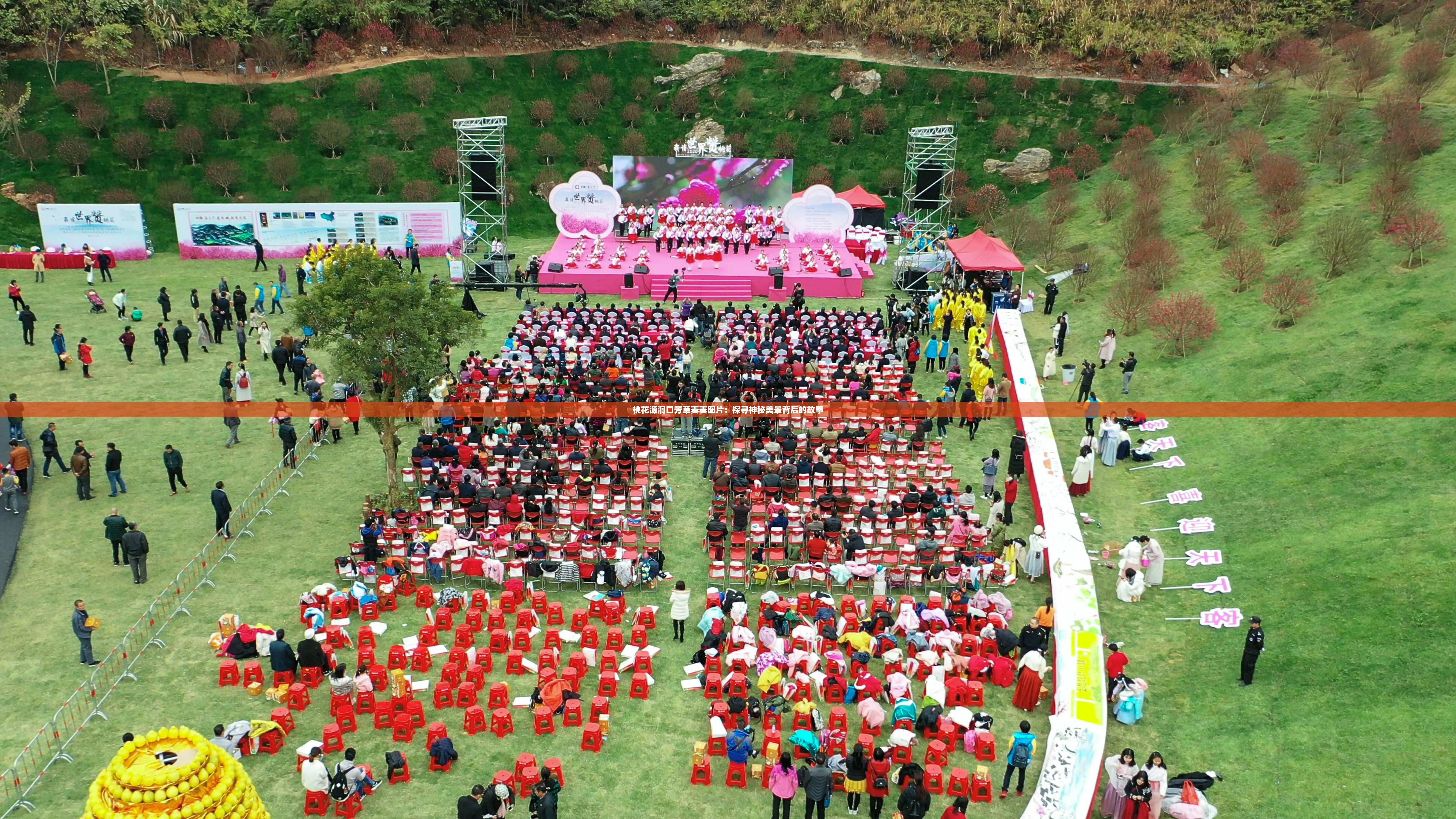 桃花源洞口芳草萋萋图片：探寻神秘美景背后的故事