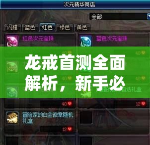 龙戒首测全面解析，新手必备的游戏指引与资源管理艺术攻略
