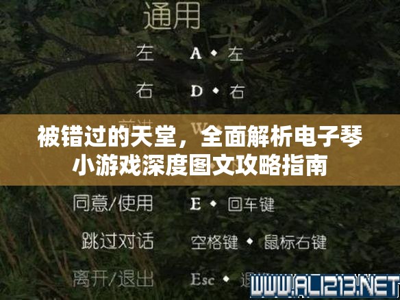 被错过的天堂，全面解析电子琴小游戏深度图文攻略指南