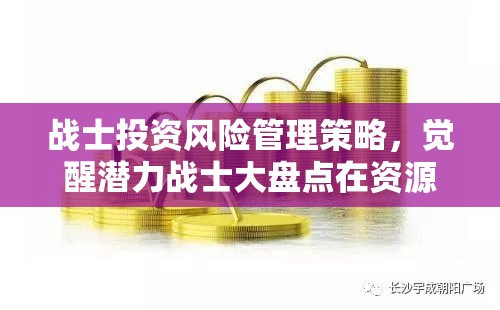 战士投资风险管理策略，觉醒潜力战士大盘点在资源管理中的核心作用与规划