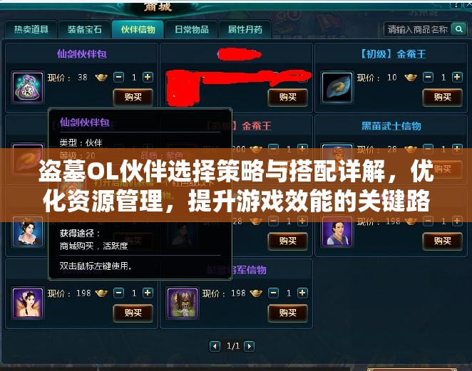 盗墓OL伙伴选择策略与搭配详解，优化资源管理，提升游戏效能的关键路径