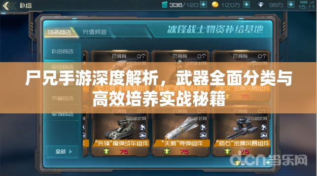尸兄手游深度解析，武器全面分类与高效培养实战秘籍