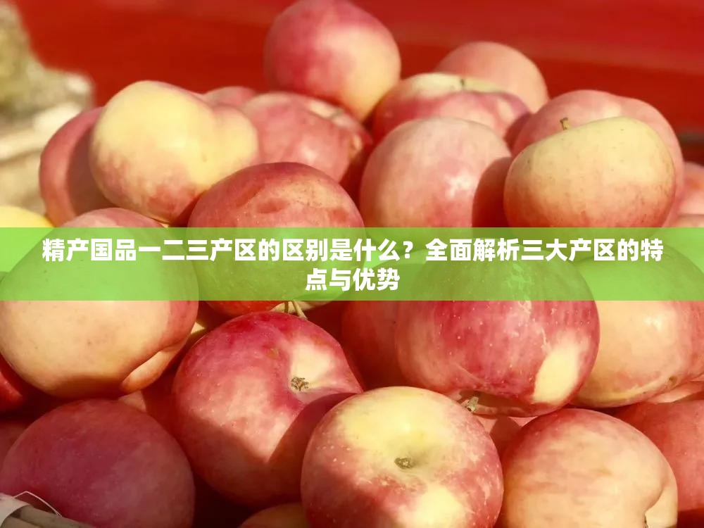 精产国品一二三产区的区别是什么？全面解析三大产区的特点与优势