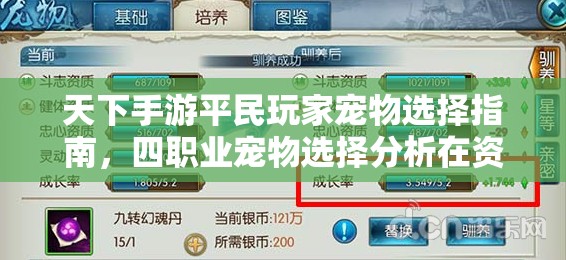 天下手游平民玩家宠物选择指南，四职业宠物选择分析在资源高效管理中的重要性及实施策略