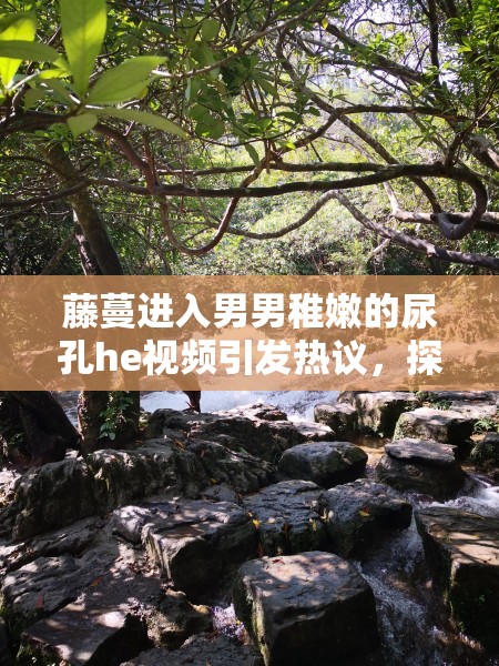 藤蔓进入男男稚嫩的尿孔he视频引发热议，探讨自然与人类关系的深层含义