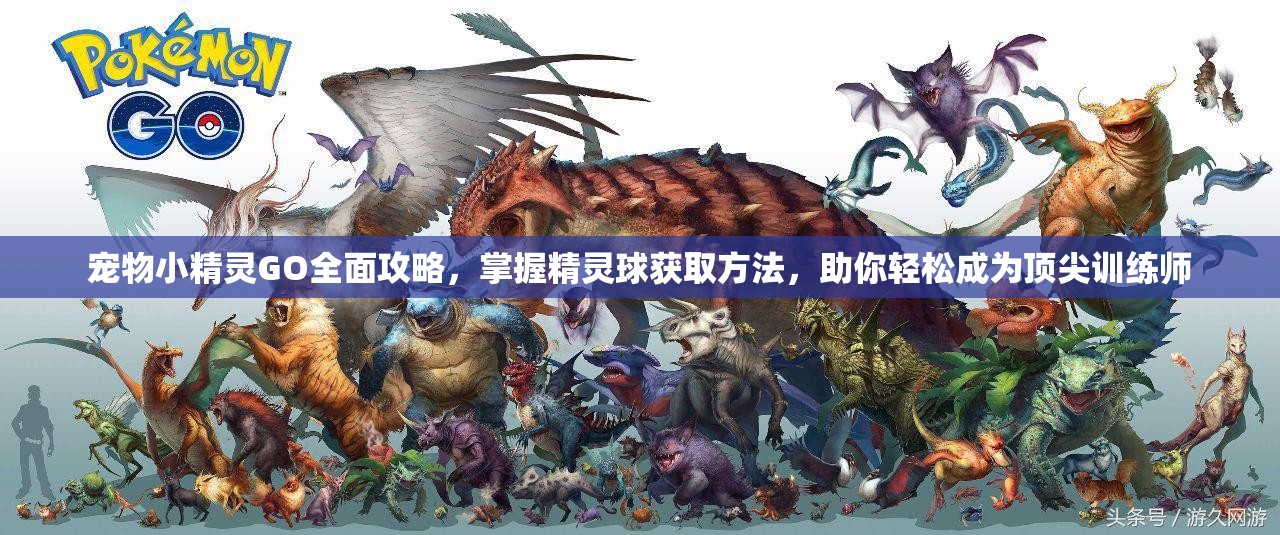 宠物小精灵GO全面攻略，掌握精灵球获取方法，助你轻松成为顶尖训练师
