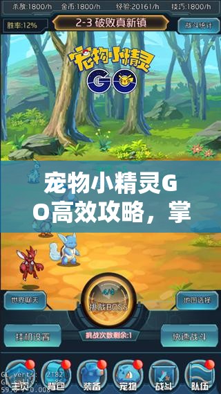宠物小精灵GO高效攻略，掌握这些方法助你快速大量获取游戏经验值