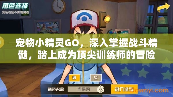 宠物小精灵GO，深入掌握战斗精髓，踏上成为顶尖训练师的冒险之旅