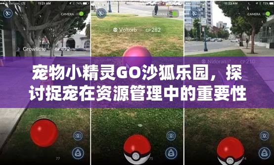 宠物小精灵GO沙狐乐园，探讨捉宠在资源管理中的重要性及高效策略