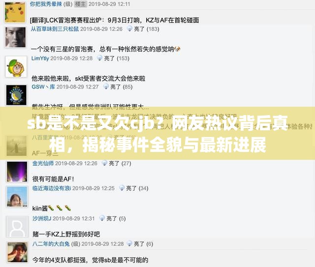 sb是不是又欠cjb？网友热议背后真相，揭秘事件全貌与最新进展