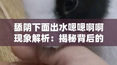 舔阴下面出水嗯嗯啊啊现象解析：揭秘背后的生理反应与情感表达