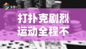 打扑克剧烈运动全程不盖被子视频曝光，网友热议健康与习惯的平衡之道