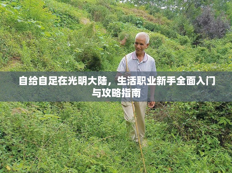 自给自足在光明大陆，生活职业新手全面入门与攻略指南