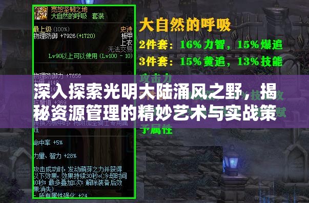 深入探索光明大陆涌风之野，揭秘资源管理的精妙艺术与实战策略