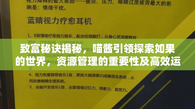 致富秘诀揭秘，喵酱引领探索如果的世界，资源管理的重要性及高效运用策略