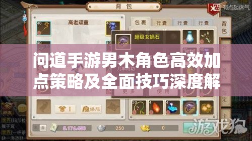 问道手游男木角色高效加点策略及全面技巧深度解析与揭秘