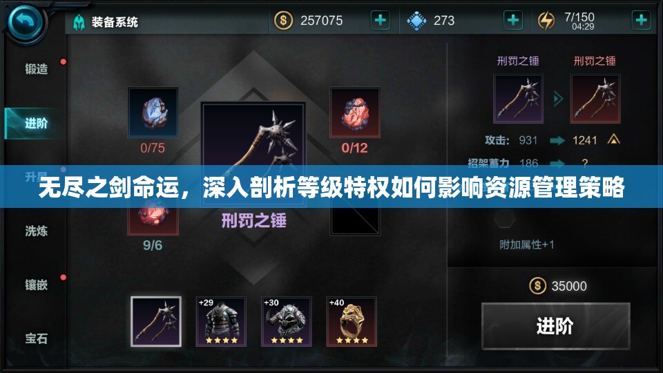 无尽之剑命运，深入剖析等级特权如何影响资源管理策略