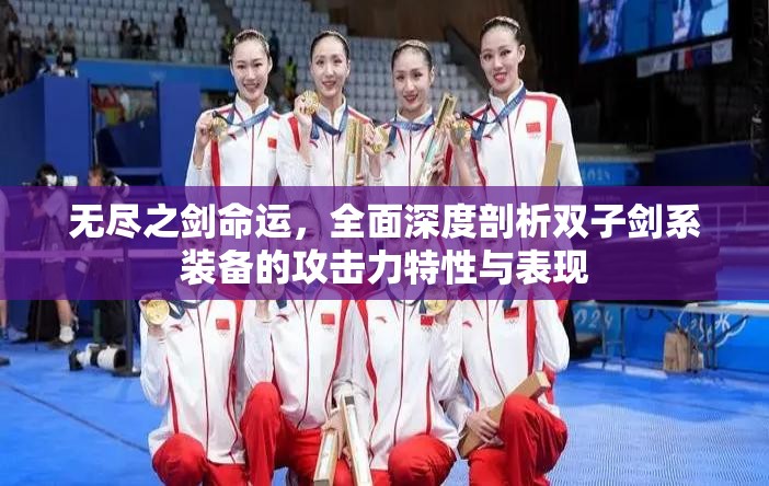 无尽之剑命运，全面深度剖析双子剑系装备的攻击力特性与表现