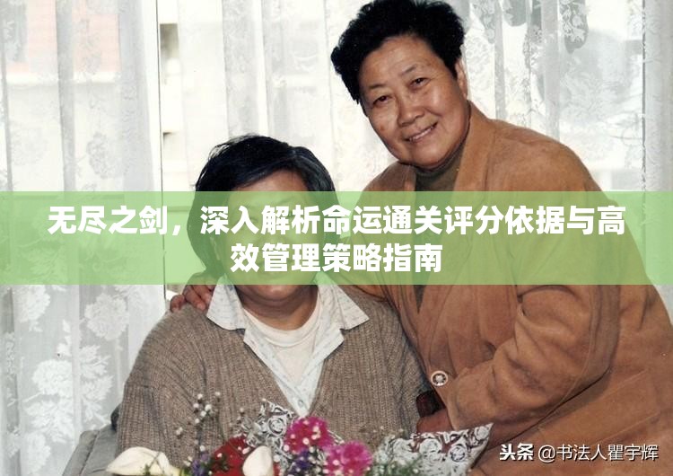 无尽之剑，深入解析命运通关评分依据与高效管理策略指南