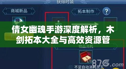 倩女幽魂手游深度解析，木剑拓本大全与高效资源管理艺术