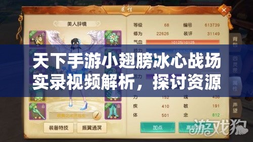 天下手游小翅膀冰心战场实录视频解析，探讨资源管理在战场中的重要性及高效策略